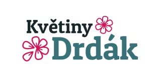Primary Raster logo